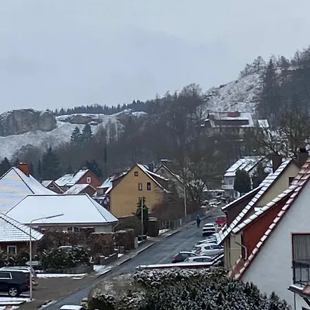 Апартаменты Steinberg-Blick Херцберг-ам-Гарц Экстерьер фото